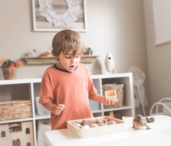 Montessori Learning